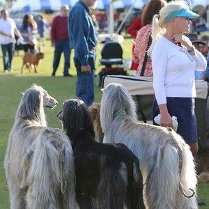 Meet your Posher, Gail